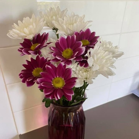 naked flowers in vase