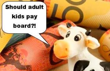 how much board should adult kids pay
